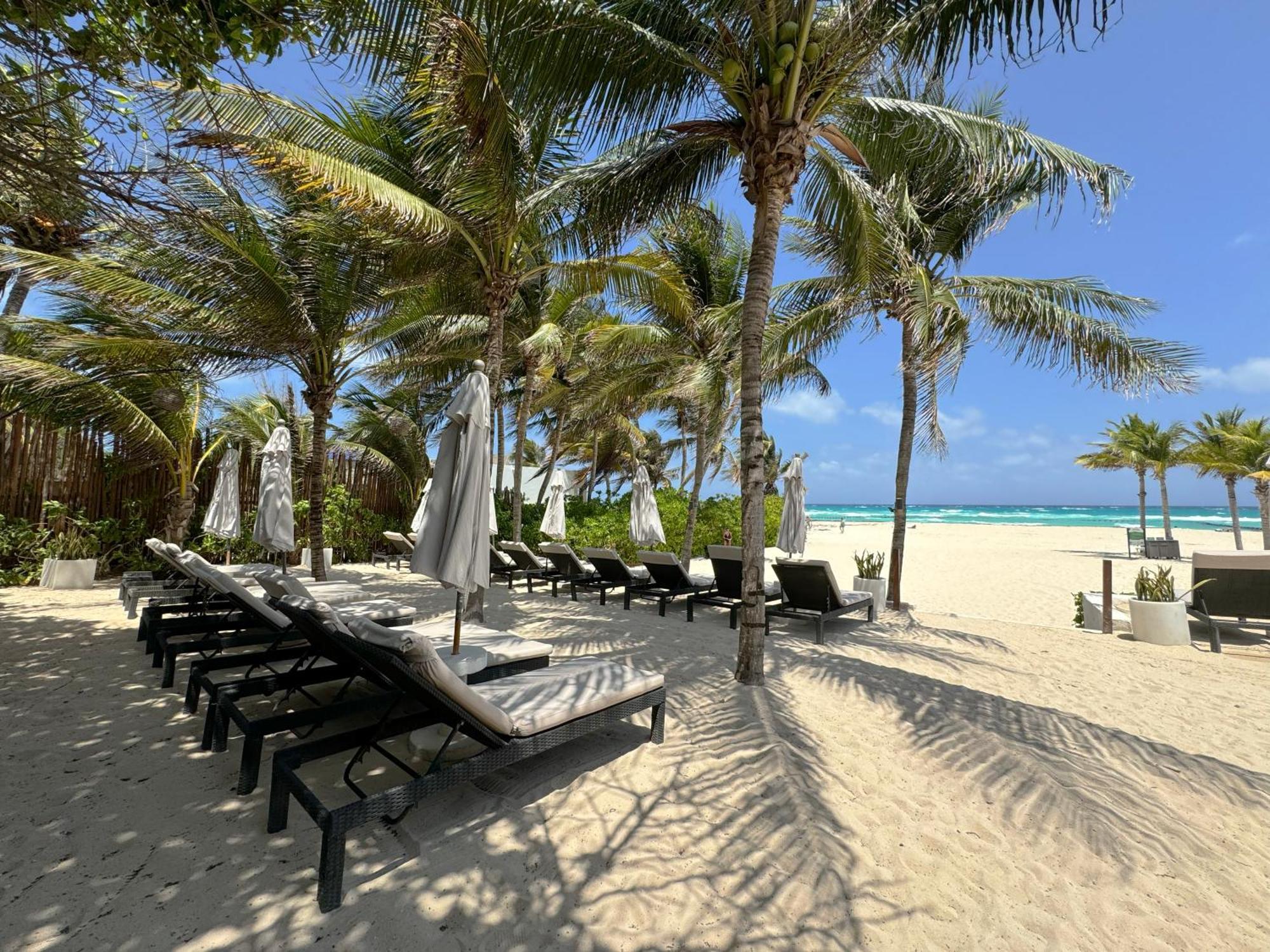 The Reef Playacar Beach Resort & Spa Playa del Carmen Exteriér fotografie